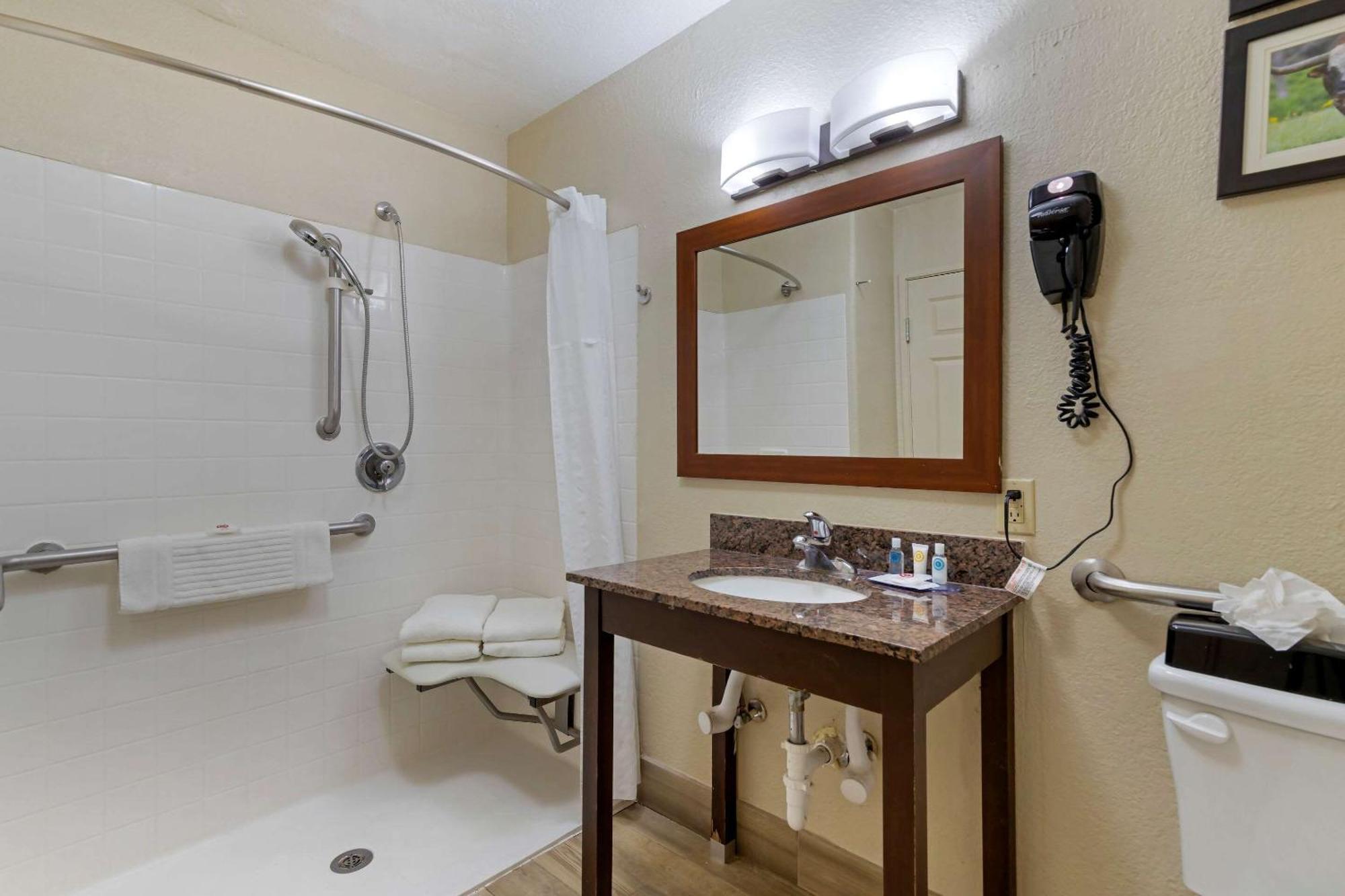 King Suite Disability Access or Non-Smoking