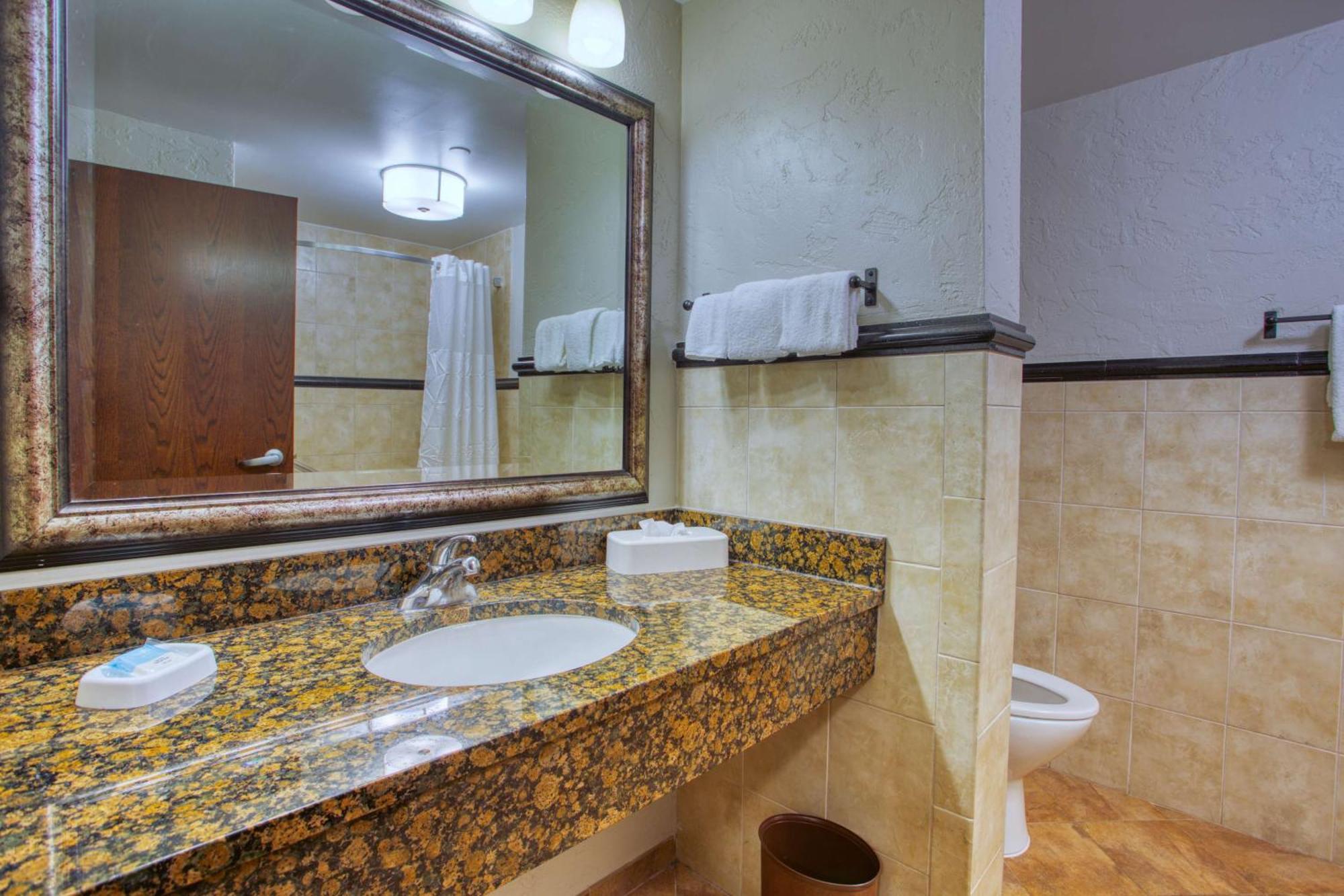 Deluxe King Room with Terrace