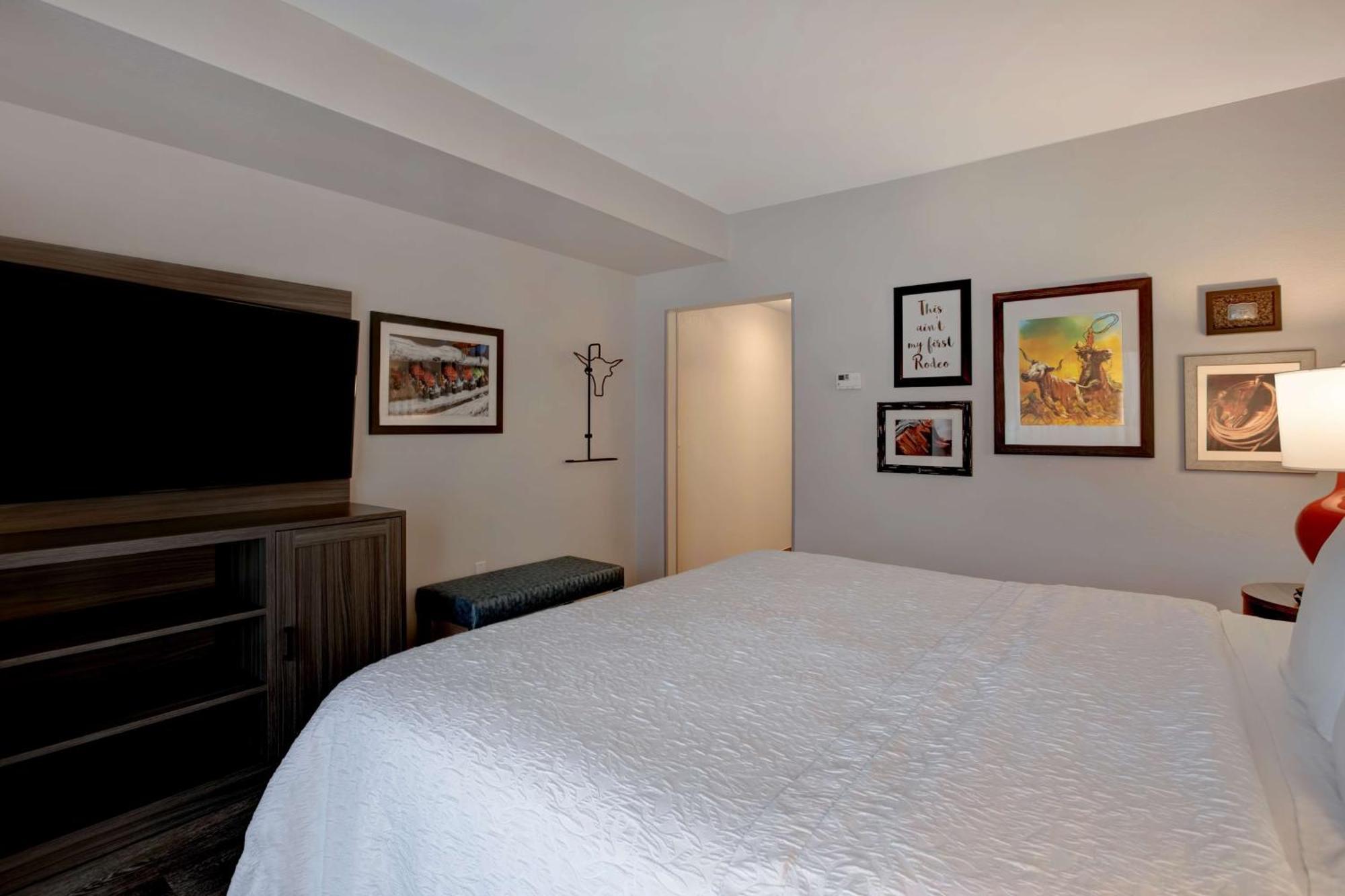 One-Bedroom King Suite - Non-Smoking