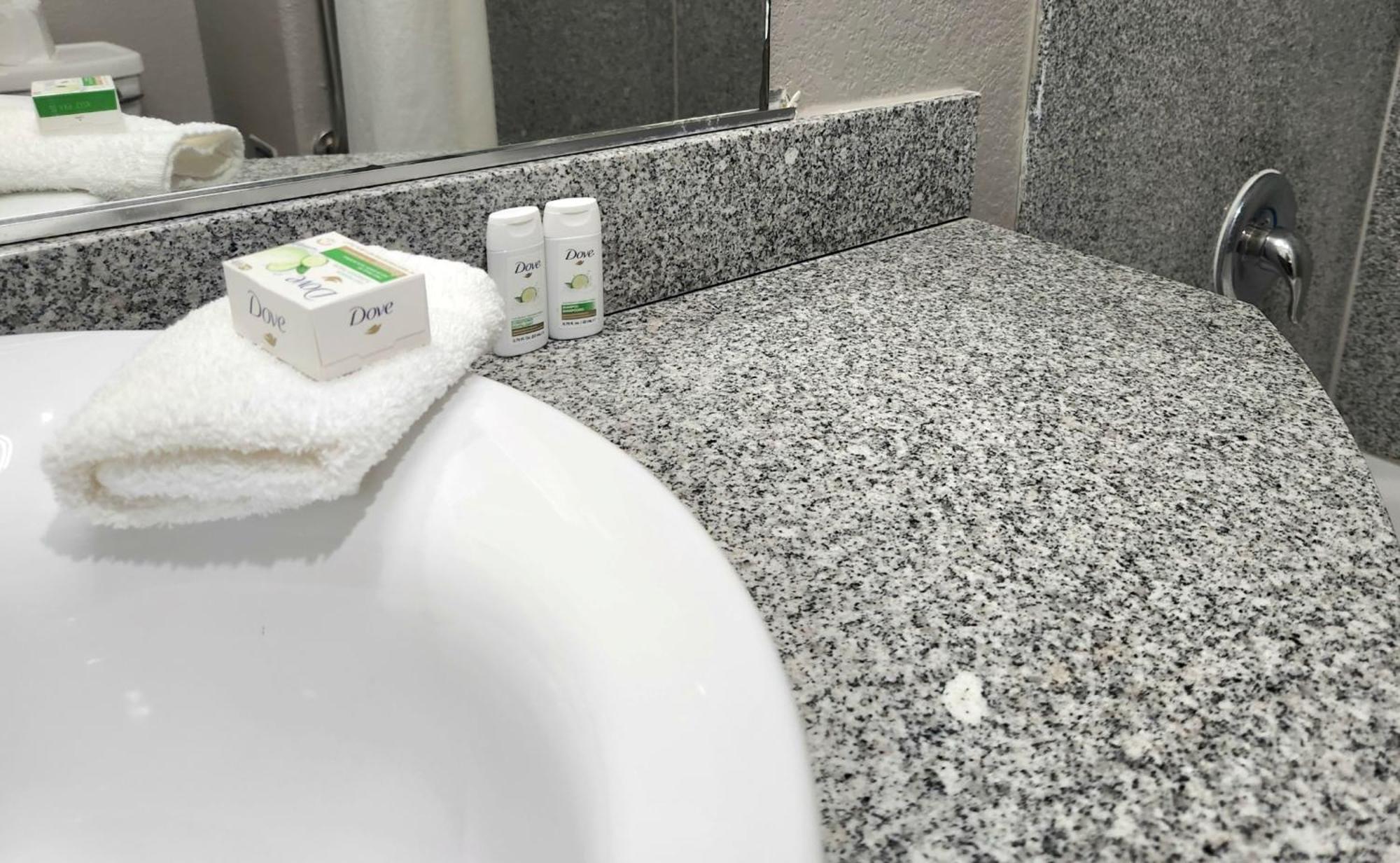 King Room Mobility Access Bathtub Grab Bars Non-Smoking
