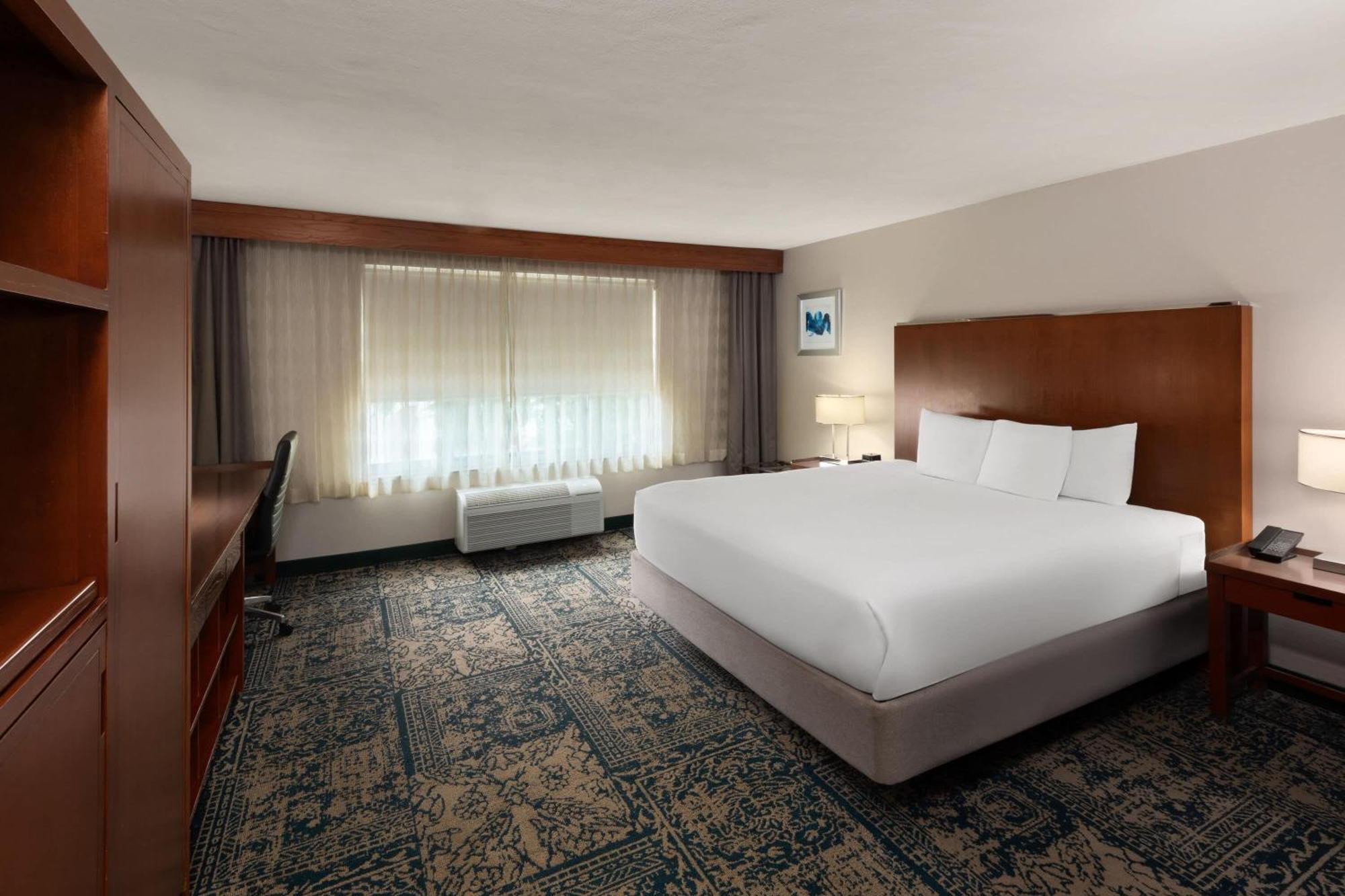 Deluxe King Room Mobility or Hearing Accessible Tub Grab Bars or Non-Smoking,1773462520:JPEG