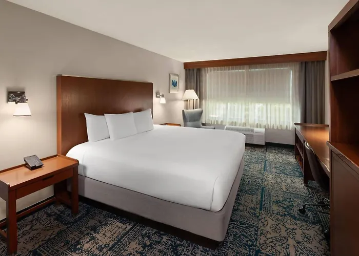Wyndham Garden San Antonio Airport Hotel